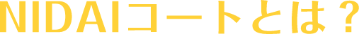 NIDAIコートとは?